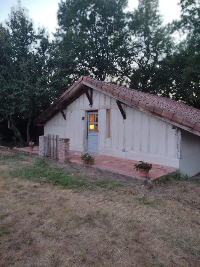 Maisonnette Vue Sur Foret Campagne  Kültér fotó